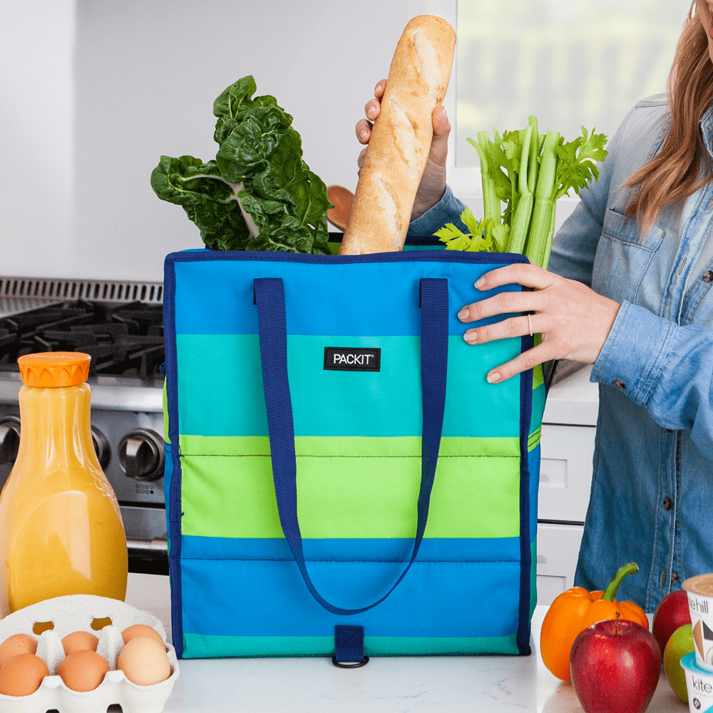 freezable-grocery-tote-e6 2020_Grocery_FreshStripe_Lifestyle_1_Hires.png
