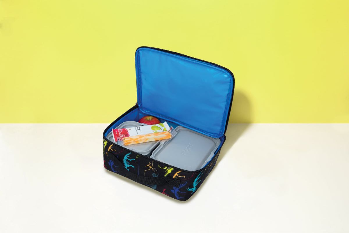 freezable-lunch-box-limited-edition-r1 2022_Lifestyle_Lunch-Box_Dino_Fossils2_Hires.jpg