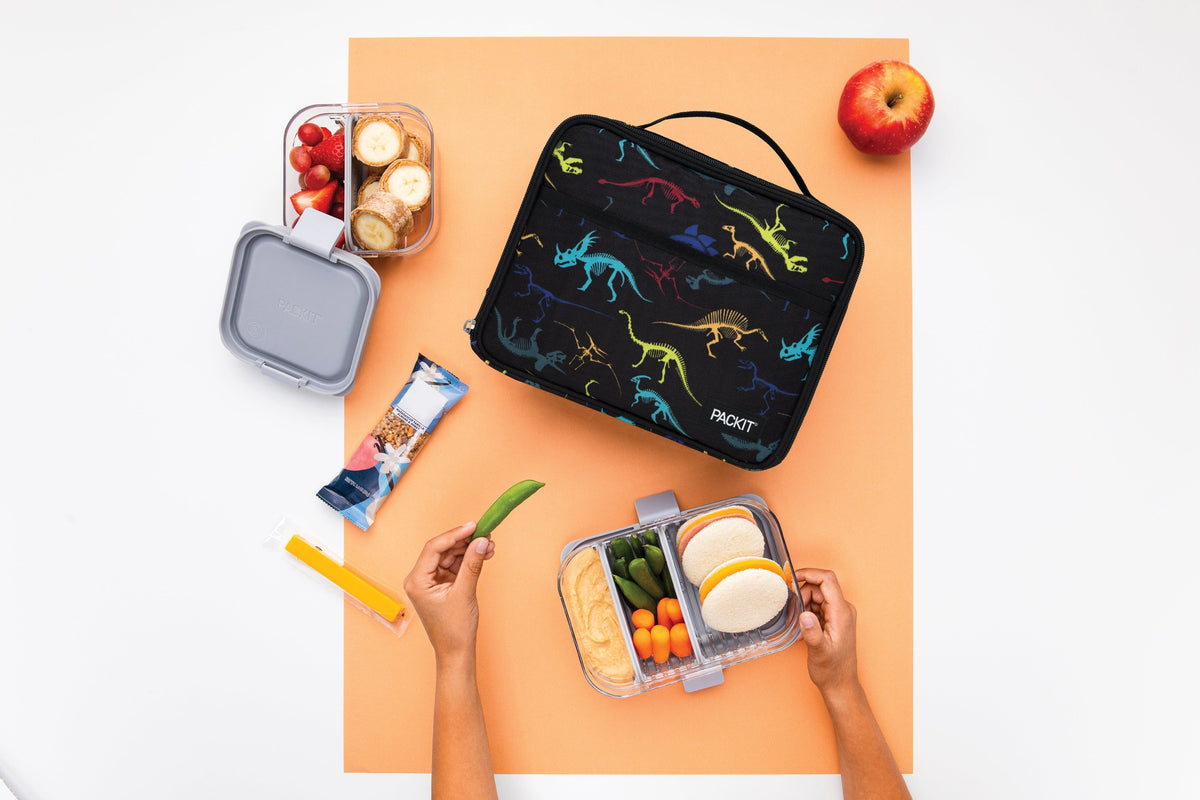 freezable-lunch-box-limited-edition-r1 2022_Lifestyle_Lunch-Box_Dino_Fossils_Hires.jpg